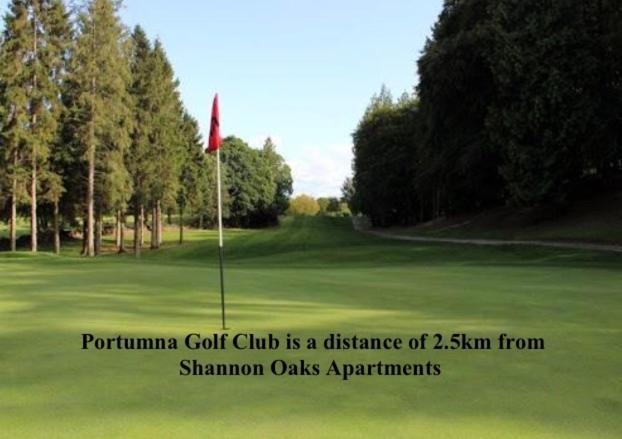 Shannon Oaks Apartments Portumna Esterno foto